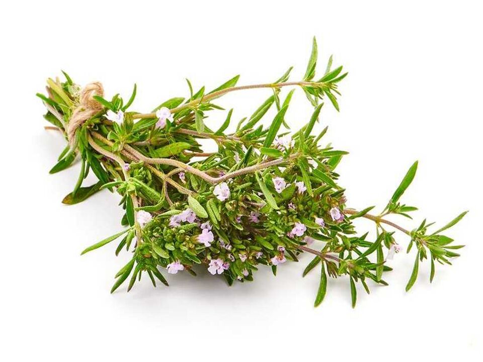 thymus dans Alcozar